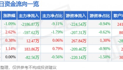 股票行情快报：大唐发电（601991）2月5日主力资金净卖出2186.87万元