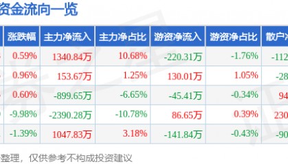 股票行情快报：徐家汇（002561）1月9日主力资金净买入1340.84万元