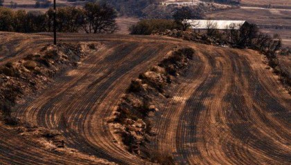 西班牙葡萄牙受山火炙烤 大风高温更添风险