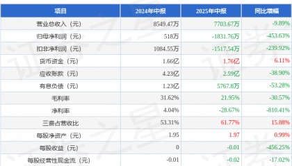 国中水务（600187）2025年中报简析：净利润同比下降453.63%，存货明显上升