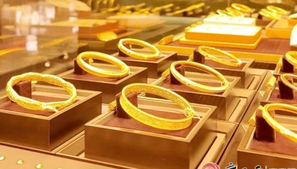 上海黄金现货(上海黄金现货走势图)