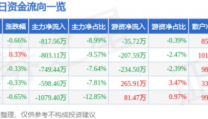 股票行情快报：国中水务（600187）8月13日主力资金净卖出817.56万元