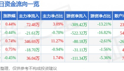 股票行情快报：双箭股份（002381）6月11日主力资金净买入72.48万元