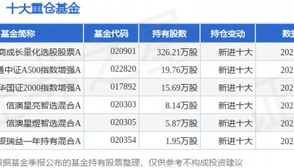 10月10日国电南自涨10.01%，招商成长量化选股股票A基金重仓该股