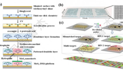 DOT交易平台(dotc交易平台)