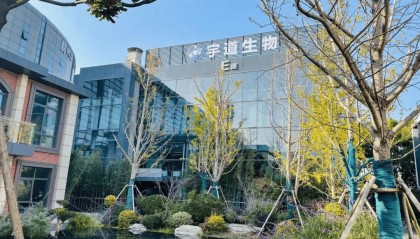 上海，又跑出一家“AI＋医药”领先企业！