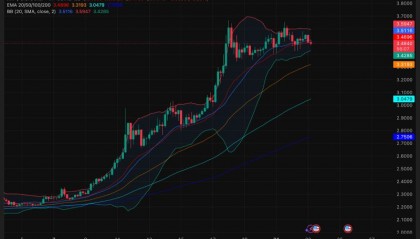 包含XRP-瑞波币交易所的词条