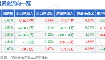 股票行情快报：新大陆（000997）3月25日主力资金净买入5316.78万元