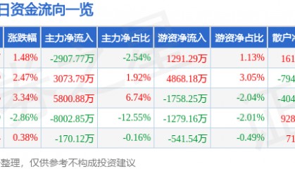 股票行情快报：华映科技（000536）2月19日主力资金净卖出2907.77万元