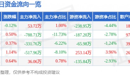 股票行情快报：建新股份（300107）8月7日主力资金净买入53.72万元
