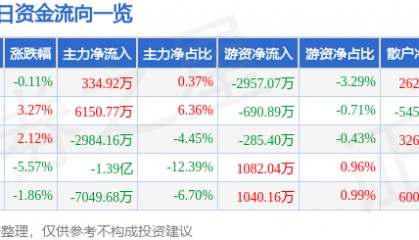 股票行情快报：网宿科技（300017）11月21日主力资金净买入334.92万元