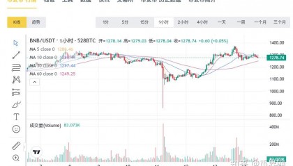 BNB交易(bnb交易所官网入口)