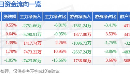 股票行情快报：兴森科技（002436）1月21日主力资金净卖出2751.66万元