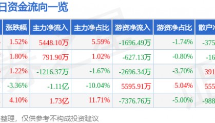 股票行情快报：兴森科技（002436）12月20日主力资金净买入5448.10万元