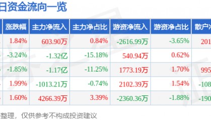 股票行情快报：网宿科技（300017）12月5日主力资金净买入603.90万元