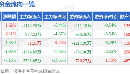股票行情快报：徐家汇（002561）11月20日主力资金净卖出1112.20万元