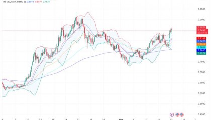包含ADA-艾达币交易平台的词条