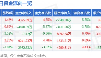 股票行情快报：软通动力（301236）4月28日主力资金净买入4375.89万元