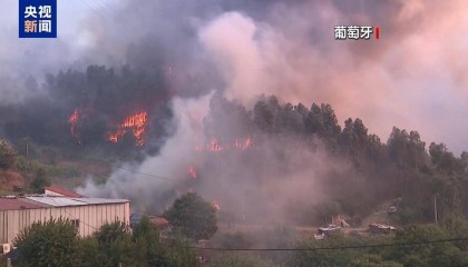 高温叠加大风 西班牙与葡萄牙山火肆虐