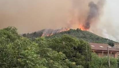 西班牙阿维拉省林火仍在蔓延 已影响约3000公顷土地