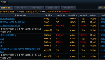 宏达高科“抓住市场机会”减持海宁皮城