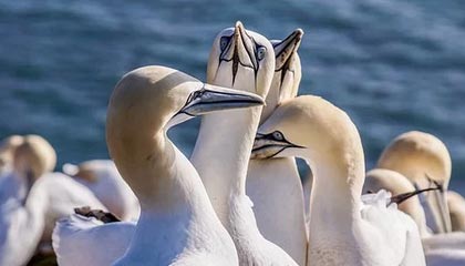 建新股份收盘上涨4.59%，滚动市盈率349.44倍，总市值44.89亿元