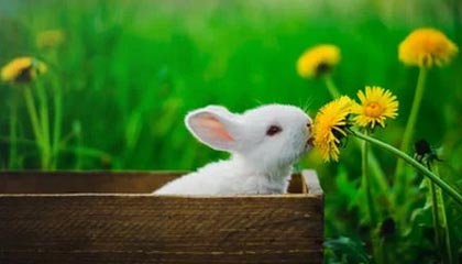 华联股份（000882）8月25日主力资金净流入2149.27万元