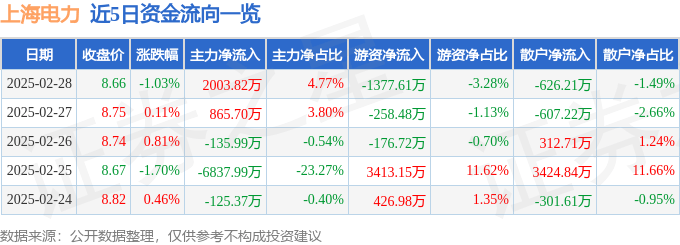 股票行情快报：上海电力（600021）2月28日主力资金净买入2003.82万元