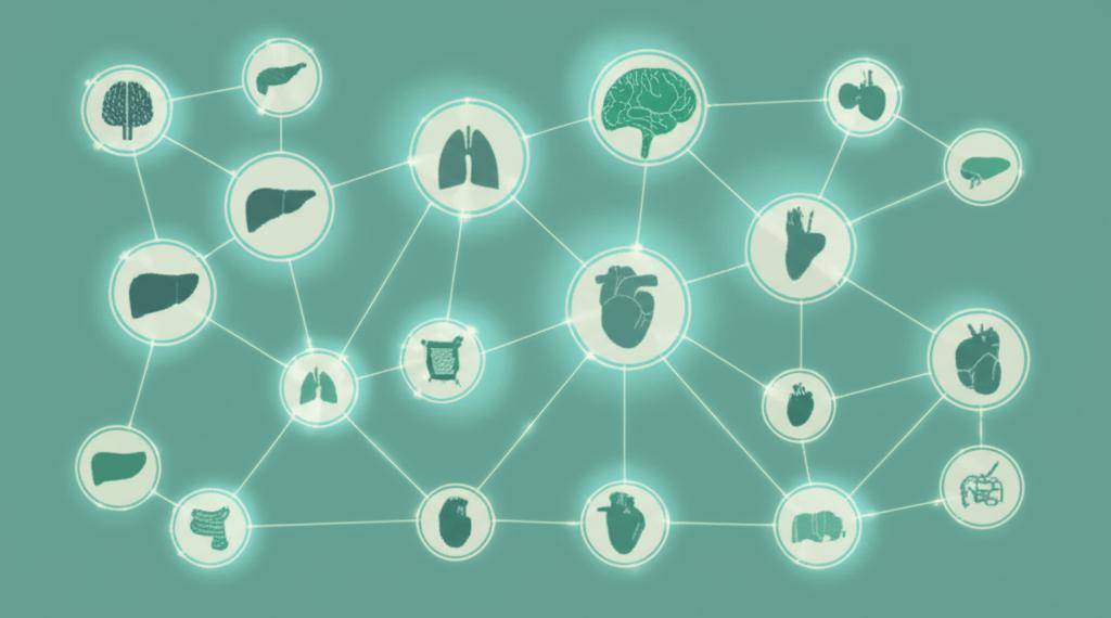 生物学家称：大脑并非你体内唯一拥有意识的器官