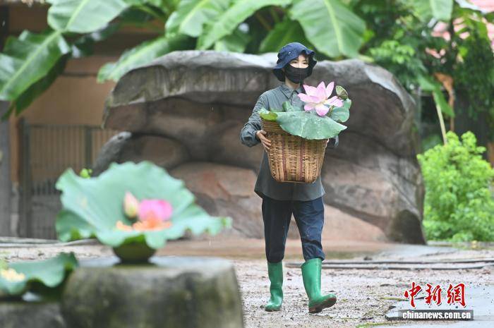 大暑节气 广州动物园为动物定制广式“凉方”