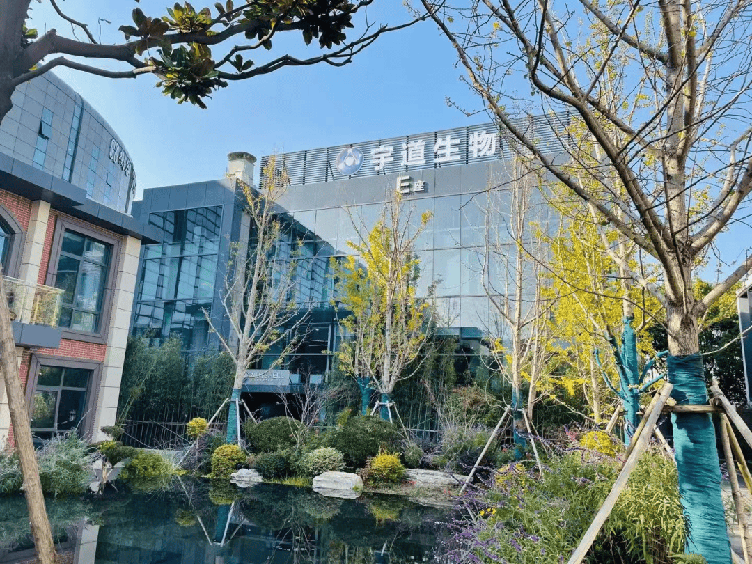 上海,又跑出一家“AI+医药”领先企业!