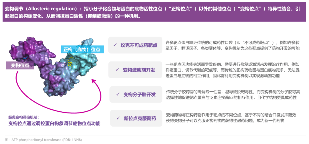上海,又跑出一家“AI+医药”领先企业!