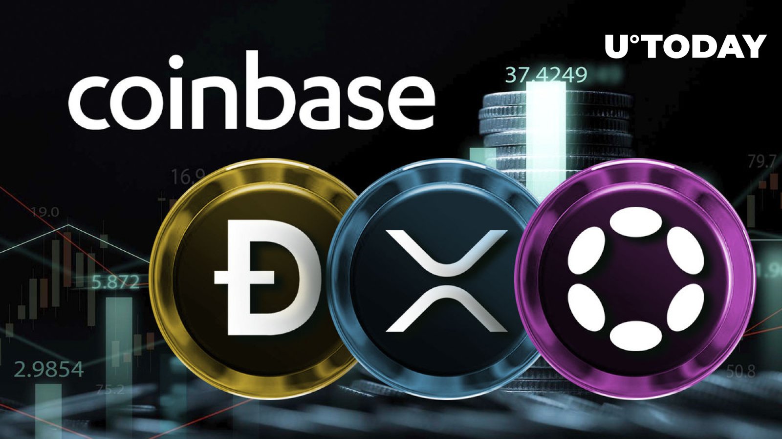 DOT交易所(dobi交易所) DOT交易所(dobi交易所)